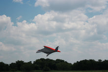 Load image into Gallery viewer, Rc Wingsuit Kit  Speed version
